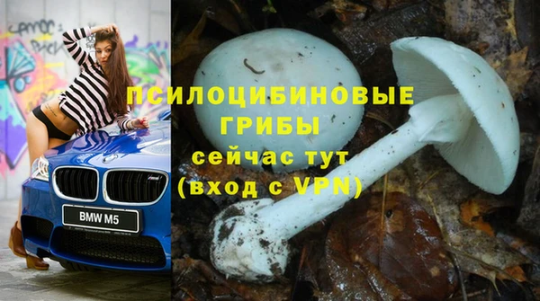 первитин Лагань