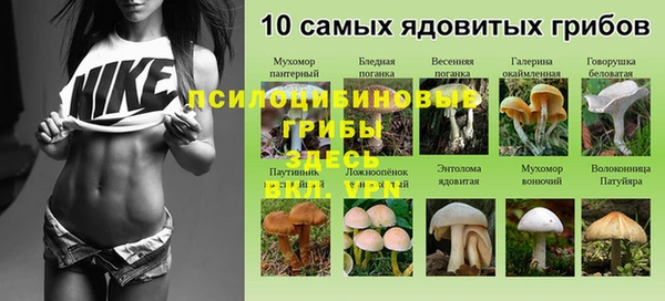 амфетамин Бердск
