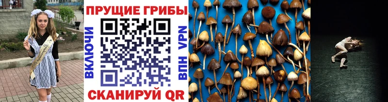 магазин продажи   Харабали  Псилоцибиновые грибы прущие грибы 